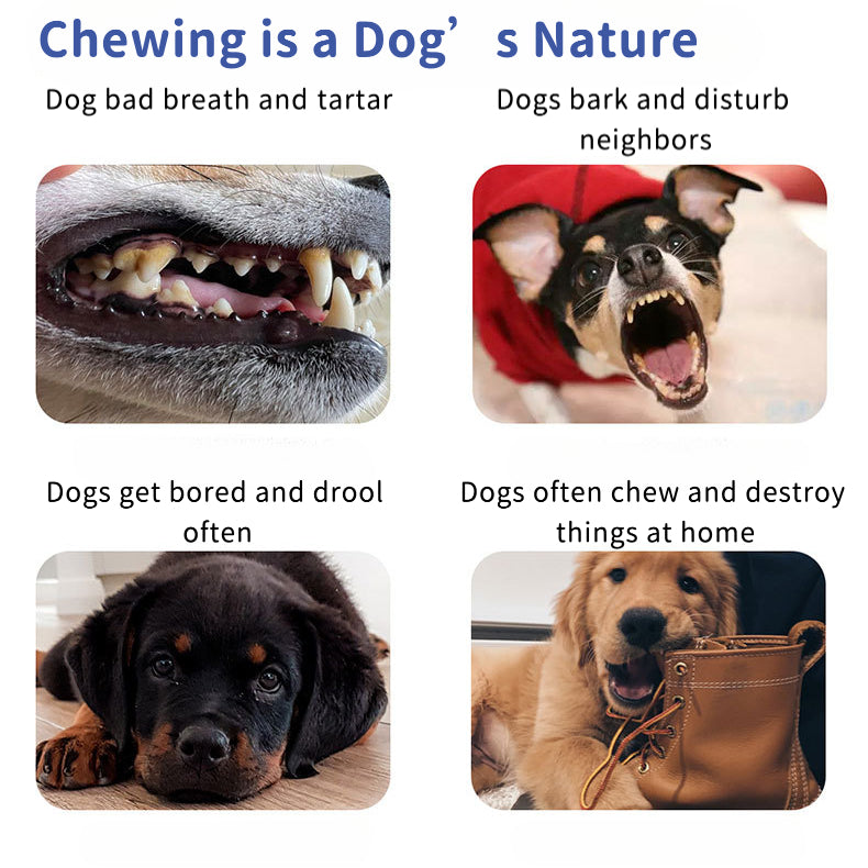 EcoPaw Natural Coffee Wood Chew Toy for Dogs