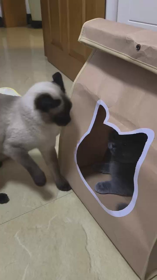EcoPaw Recycled Kraft Pet Bag